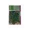 Seminte mazare Kelvedon Wonder - 250 grame