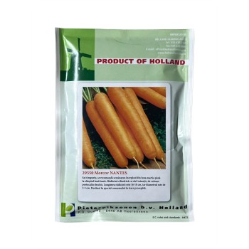 Seminte morcov Nantes - 50 grame