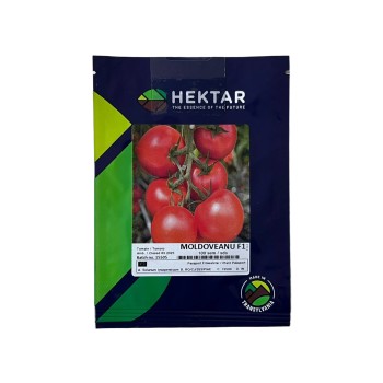 Seminte tomate Moldoveanu F1 - 100 seminte