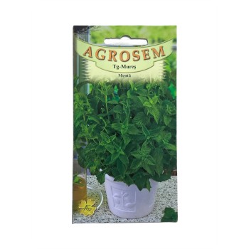 Seminte Menta Agrosem - 0.05 grame