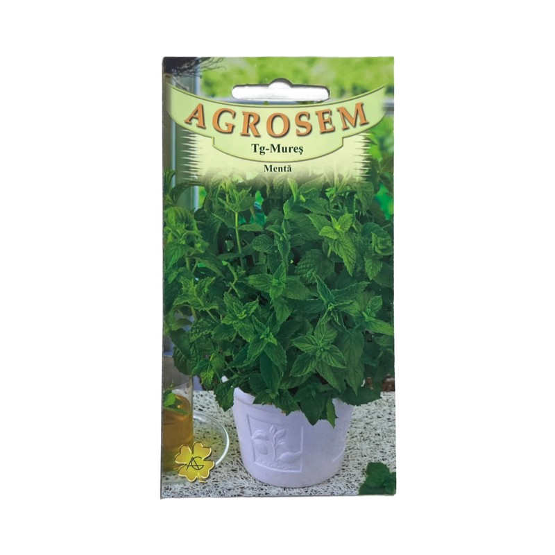 Seminte Menta Agrosem - 0.05 grame