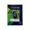 Seminte vinete Minerva F1 - 500 seminte