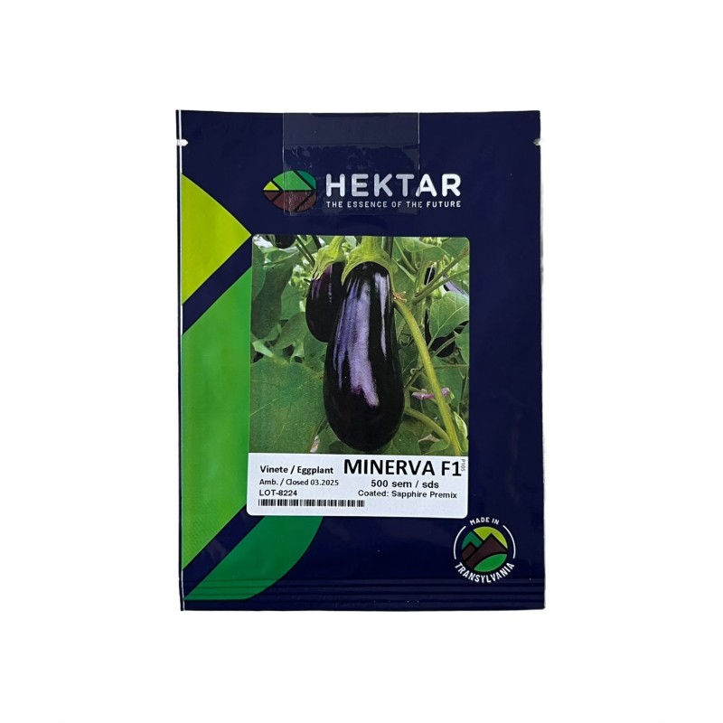 Seminte vinete Minerva F1 - 500 seminte