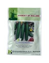 Seminte castraveti semilungi Marketmore - 10 grame