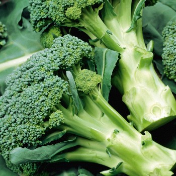 Seminte brocoli Calabrese natalino - 2 grame
