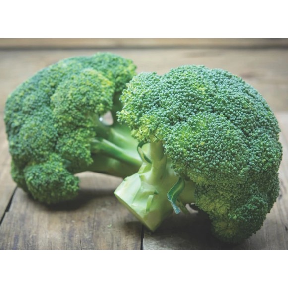 Seminte brocoli Calabrese Opal - 3 grame