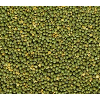 Ingrasamant Osmocote Bloom 13-07-18+1,5 MgO, 2-3 luni - 25 kg
