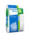 Ingrasamant Osmocote Bloom 13-07-18+1,5 MgO, 2-3 luni - 25 kg