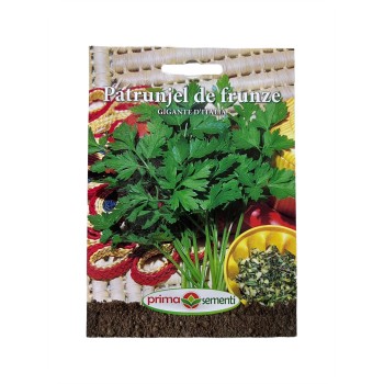 Seminte patrunjel frunze Gigante D`Italia - 5 grame