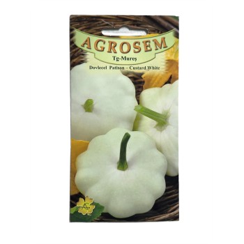 Seminte dovleac Patison Gustard White - 1.5 grame