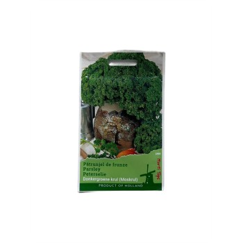 Seminte patrunjel frunza cret Moss Curled - 5 grame