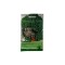 Seminte patrunjel frunza cret Moss Curled - 5 grame