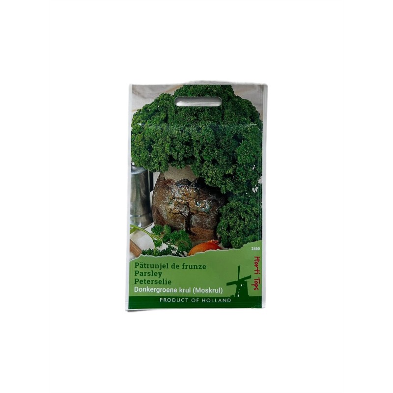 Seminte patrunjel frunza cret Moss Curled - 5 grame