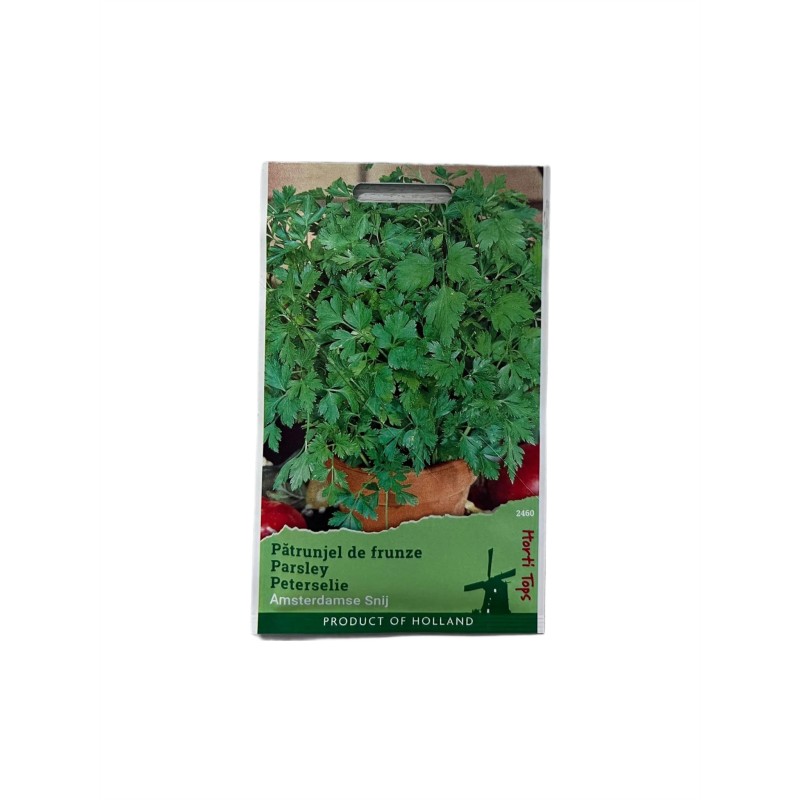 Seminte patrunjel frunza Comun - 5 grame