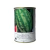 Seminte pepene verde Crimson Sweet - 100 grame