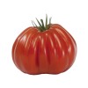 Seminte tomate Pearson D’Albenga F1 - 0.3 grame