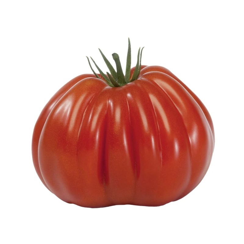 Seminte tomate Pearson D’Albenga F1 - 0.3 grame