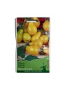 Seminte tomate Yellow Peashaped - 0.5 grame