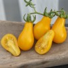 Seminte tomate Yellow Peashaped - 0.5 grame