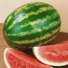 Seminte pepene verde Crimson Sweet - 2 grame