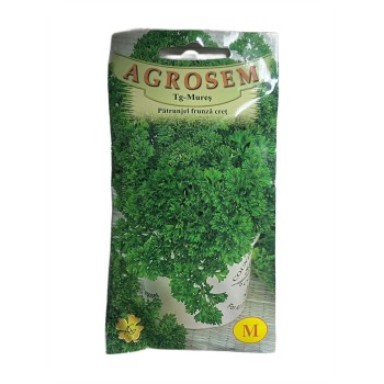 Seminte patrunjel frunza cret - 30 grame