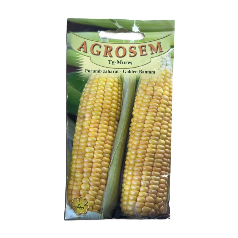 Seminte porumb zaharat Golden Bantam - 10 grame