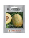 Seminte pepene galben Diamond Lux F1 - 5 grame