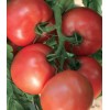 Seminte tomate Pink Heart F1 - 100 seminte