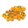Seminte tomate Cherry Portocalii - 0.2 grame