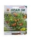 Seminte tomate Cherry Portocalii - 0.2 grame
