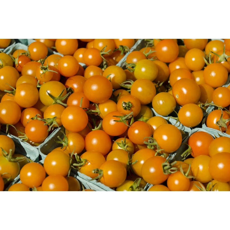Seminte tomate Cherry Portocalii - 0.2 grame