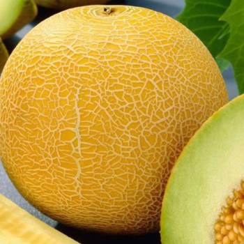 Seminte pepene galben Ananas - 3 grame