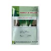 Seminte praz Bulgarian Giant - 10 grame