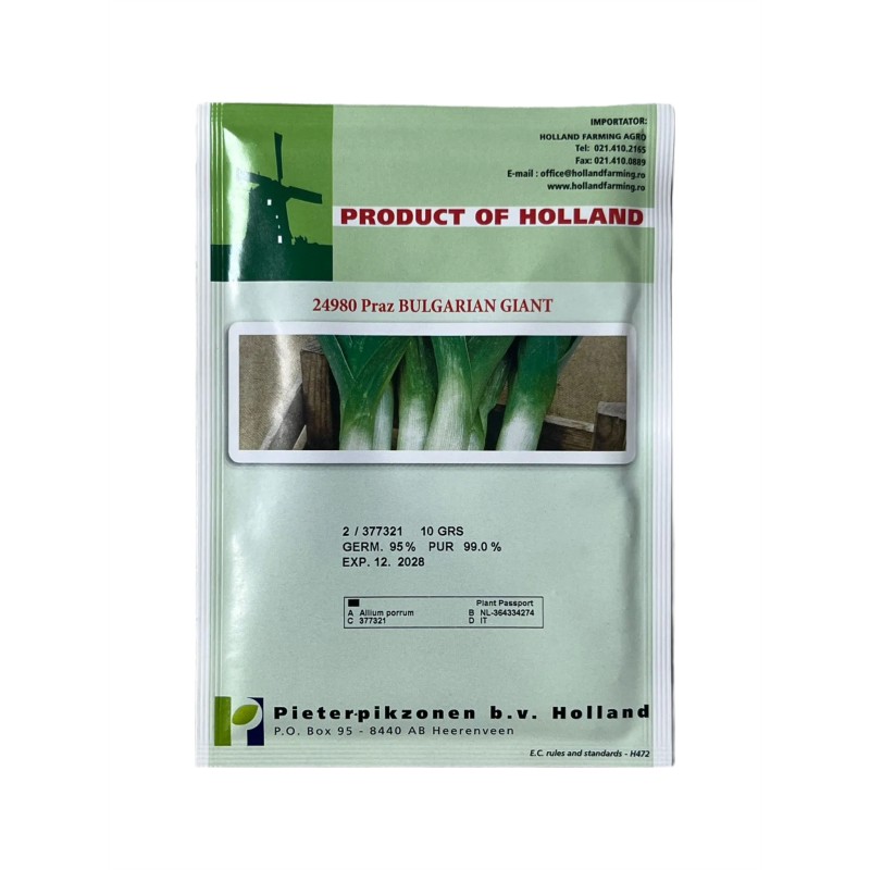 Seminte praz Bulgarian Giant - 10 grame