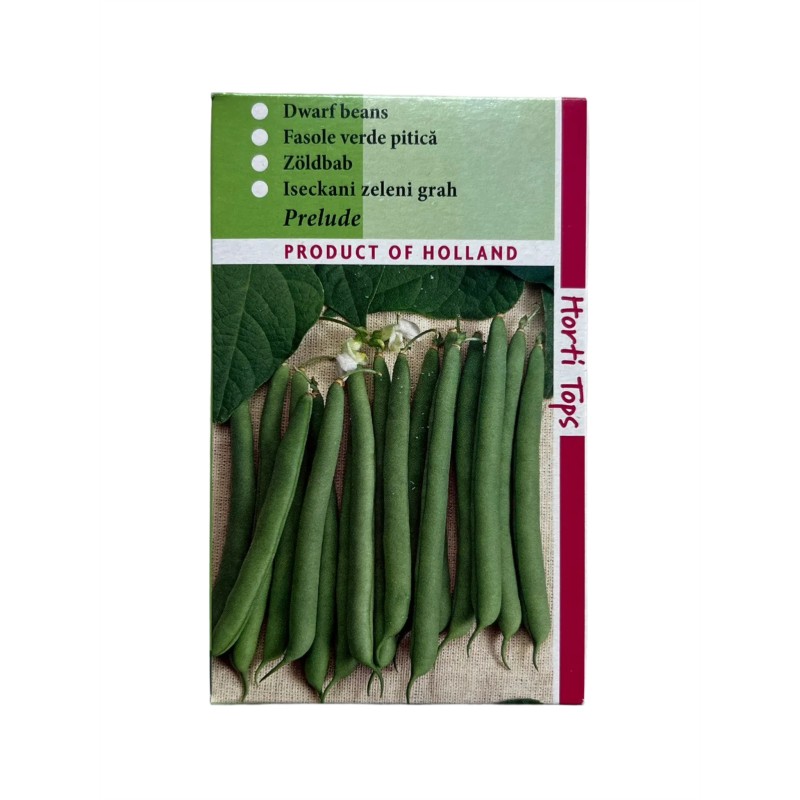 Seminte fasole pitica Prelude - 250 grame