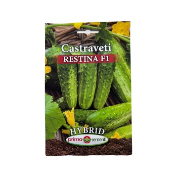 Seminte castraveti Restina F1 - 5 grame