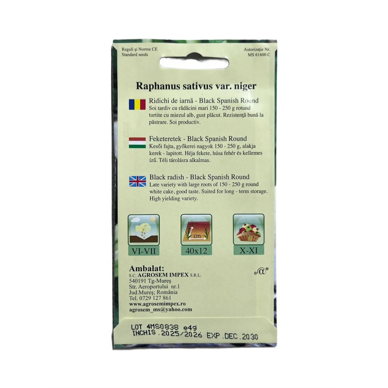 Seminte ridichi de iarna Black Spanish - 4 grame