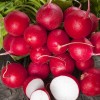 Seminte ridichi de luna Cherry Belle - 10 grame