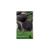 Seminte ridichi negre de iarna Black Round - 10 grame