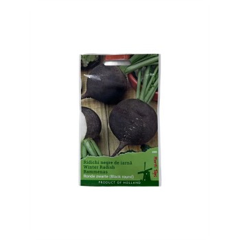 Seminte ridichi negre de iarna Black Round - 10 grame