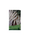 Seminte ridichi de vara Long White Icicle - 10 grame