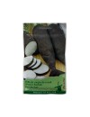Seminte ridichi negre de iarna Black Spanish - 10 grame