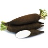 Seminte ridichi negre de iarna Black Spanish - 10 grame