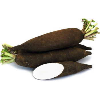 Seminte ridichi negre de iarna Black Spanish - 10 grame