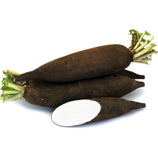 Seminte ridichi negre de iarna Black Spanish - 10 grame