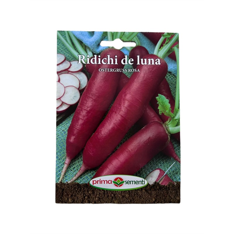 Seminte ridichi de luna Osterguss Rosa - 6 grame
