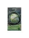 Seminte varză albă de vară-toamnă Roem van Enkhuizen - 1 gram