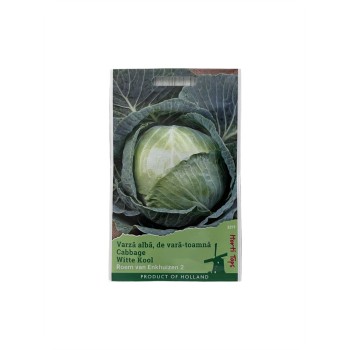 Seminte varză albă de vară-toamnă Roem van Enkhuizen - 1 gram
