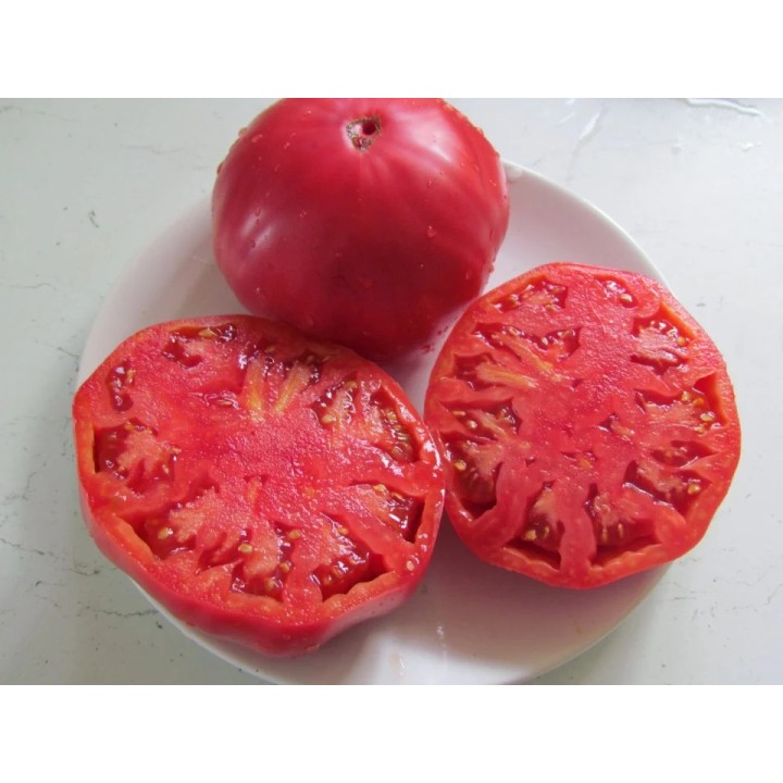 Seminte tomate Rozov Blyan - Vis Roz - 1 gram