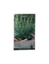 Seminte rozmarin - 0.08 grame